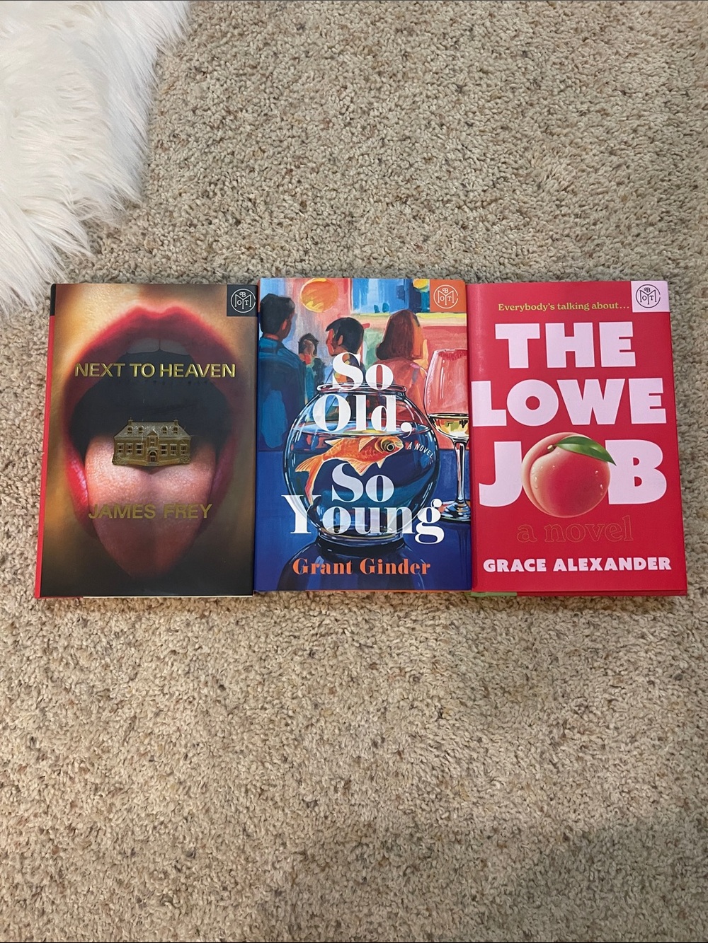 3 book fiction bundle book of the month